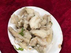 -蛇口康乐快餐鱼仔档(翠苑小区店)