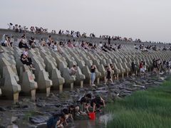 -南汇嘴观海公园