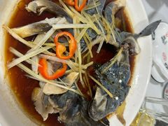 -煲来饱去冷水鱼