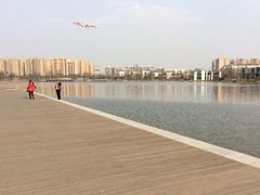 -白鹭湾湿地公园