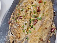 -源水鱼庄·翘嘴鲌店·老字号