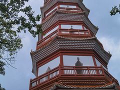 -分塔山省级森林公园