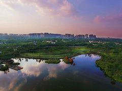 -白鹭湾湿地公园