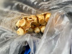 -芝麻家(平桥店)