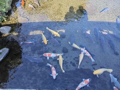 -水前寺成趣园