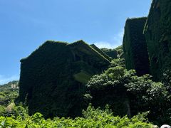 -枸杞岛