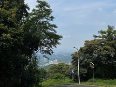 -黄埔油麻山森林公园