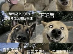 -西北轻工批发市场