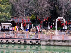 -成都市活水公园