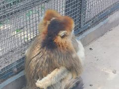 -石家庄市动物园