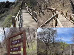 -大岭沟猕猴桃谷风景区