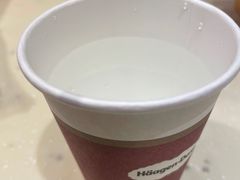 -哈根达斯(扬州瘦西湖店)
