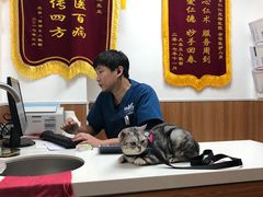 -宠福鑫动物医院·动物疾病诊疗中心(天通苑店)