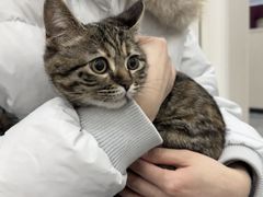 -芭比堂动物医院·CT·微创中心(新顺分院)