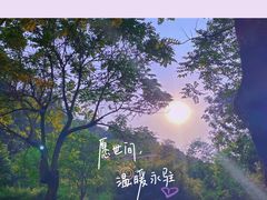 -火炉山森林公园