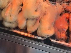 -杨震卤菜旗舰店
