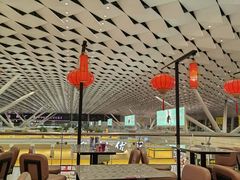 -郑州新郑国际机场-T2航站楼