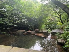 -杭州半山国家森林公园