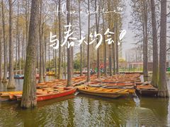 -渌洋湖湿地公园