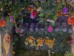 -东巴婆婆云南鱼豆花火锅(大东门店)