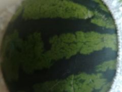 -拼多多官方网站