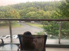 -上海佘山世茂艾美酒店