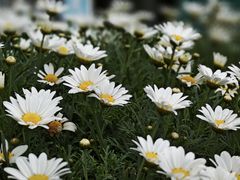 -南诏风情岛