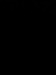 -维尼叔叔家庭影像馆