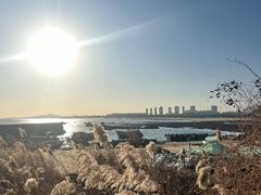 -青岛金沙滩