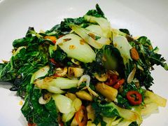 焗锅气奶白菜-小大董·烤鸭(五棵松店)