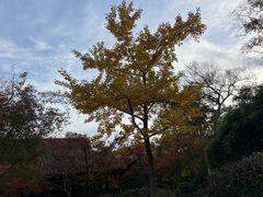 -采石矶景区