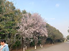 -龙寺生态园