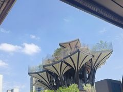 -陕西自然博物馆