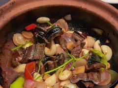 -香港狮子山下·明星粤菜餐厅(北苑店)