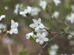 -野三坡百草畔景区