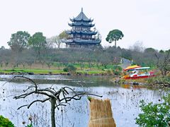 -上海海湾国家森林公园