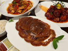 -北京老铺烤鸭(高新店)