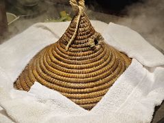 -鲜潭蒸汽石锅鱼(万象前海店)