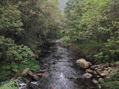 -广州市石门国家森林公园