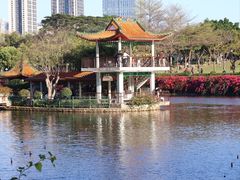 -深圳龙潭公园