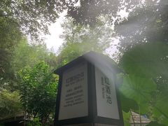 -融汇温泉