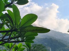 -广州市流溪河国家森林公园