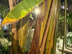 -云南滇池花园国际大酒店温泉