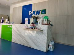 -佩兹宠物医院肿瘤专科·眼科·牙科(黄浦店)