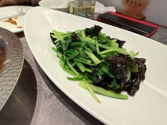 -味到1981日照海鲜·渔饺子