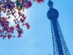 -文华公园(禅城区)