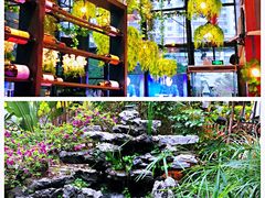 -聚缘·湘味音乐餐厅party(罗湖店)