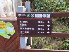 -野象谷景区