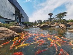 -罗红摄影艺术馆