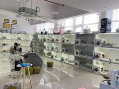 -lincat·猫舍(广州店)